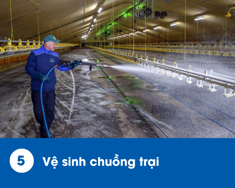 ung-dung-naoclean-des-16000-5